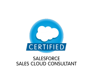 Certified Salesforce Consultant